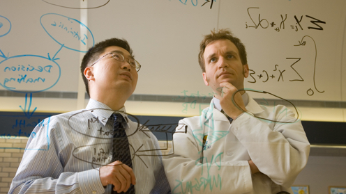a group of colleagues having a meeting